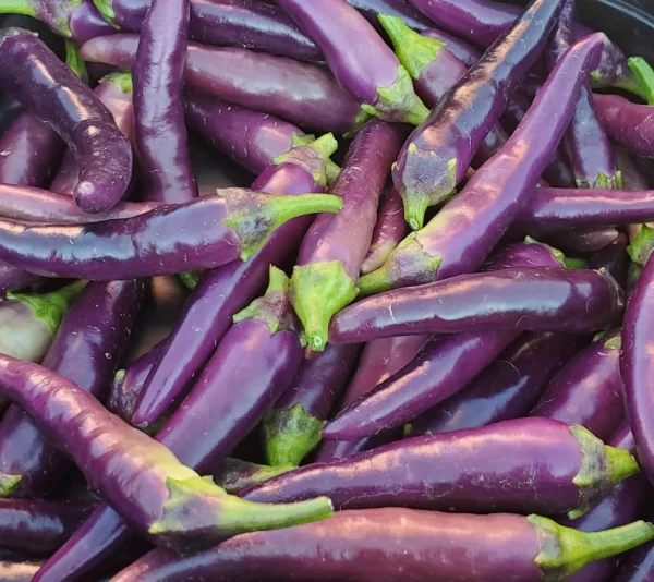Ají Cayena Black