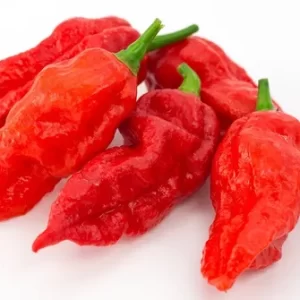 Ají Ghost - Bhut Jolokia Rojo
