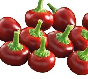 Ají Pepperoncino Tondo Calabrese