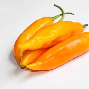 Ají Peruano Amarillo