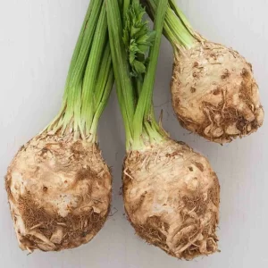 Apio Nabo Blanco