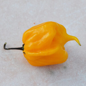 Carolina Reaper Amarillo