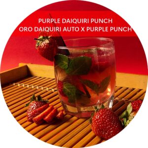 PURPLE DAIQUIRI PUNCH