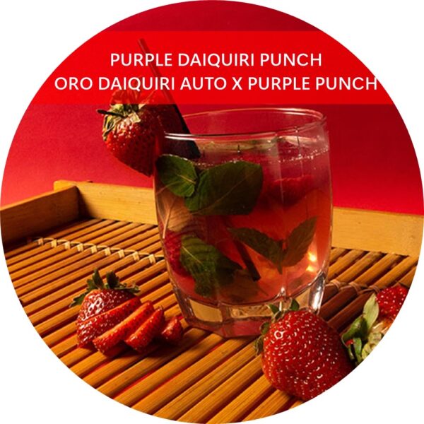 PURPLE DAIQUIRI PUNCH