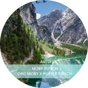 MOBY PUNCH