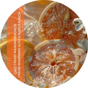 ORO CREAM MANDARIN PUNCH
