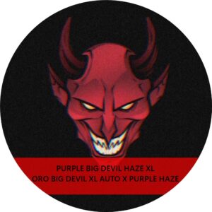 PURPLE BIG DEVIL HAZE XL