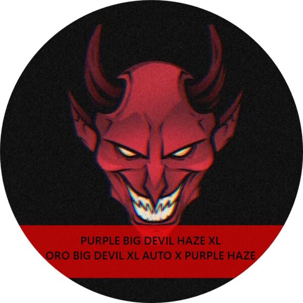 PURPLE BIG DEVIL HAZE XL