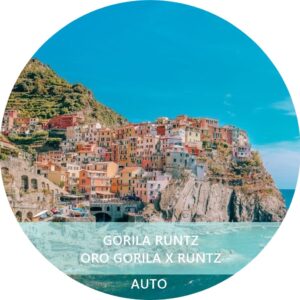 GORILA RUNTZ