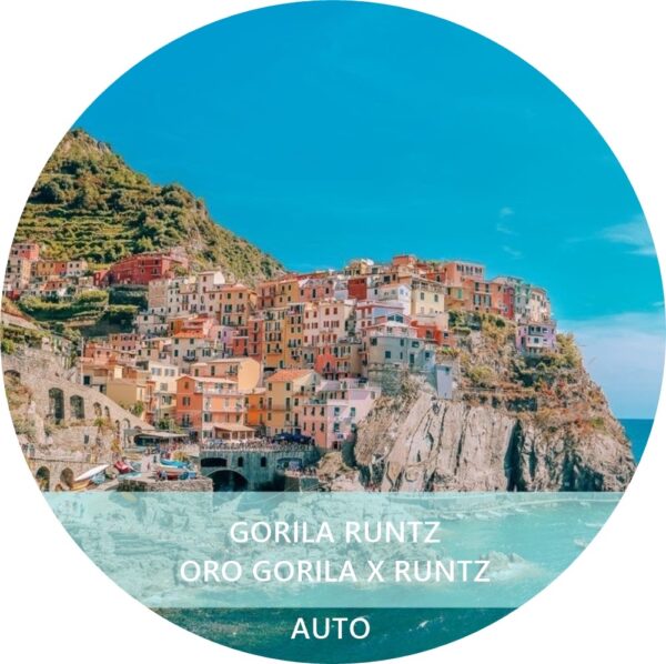 GORILA RUNTZ