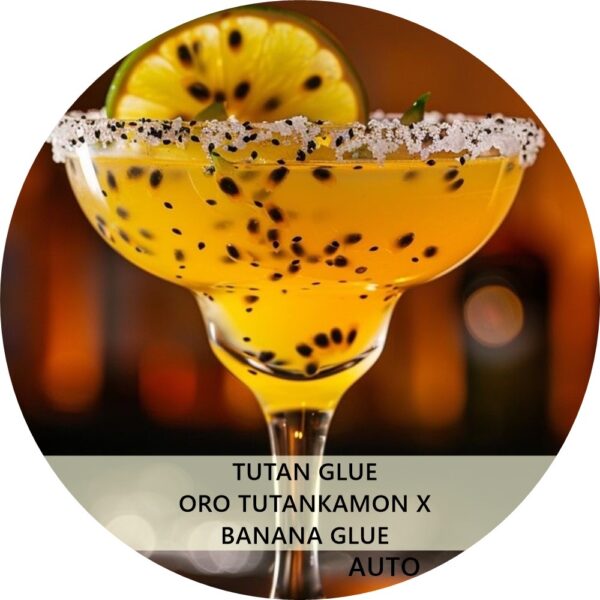 TUTAN GLUE
