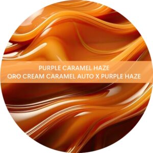 PURPLE CARAMEL HAZE
