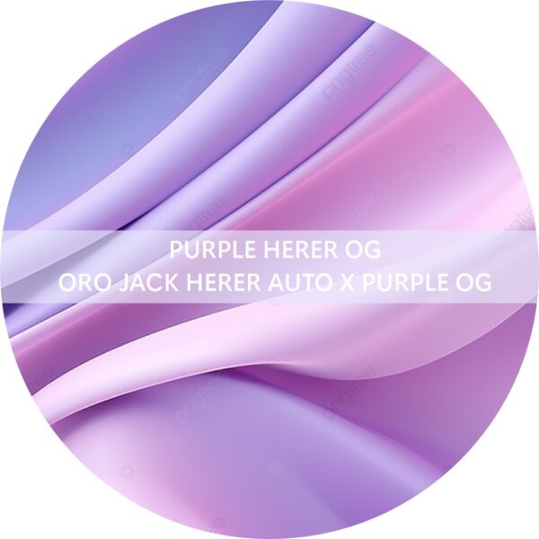 PURPLE HERER OG