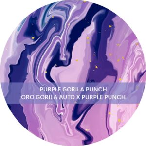 PURPLE GORILA PUNCH