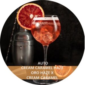 CREAM CARAMEL HAZE
