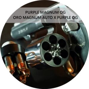 PURPLE MAGNUM OG