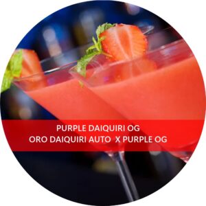 PURPLE DAIQUIRI OG