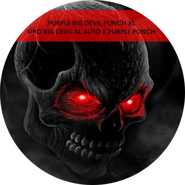 PURPLE BIG DEVIL PUNCH XL