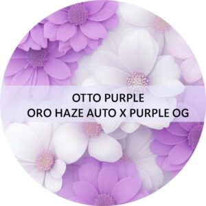 OTTO PURPLE