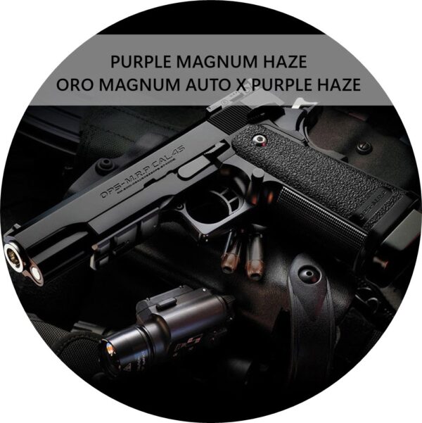 PURPLE MAGNUM HAZE