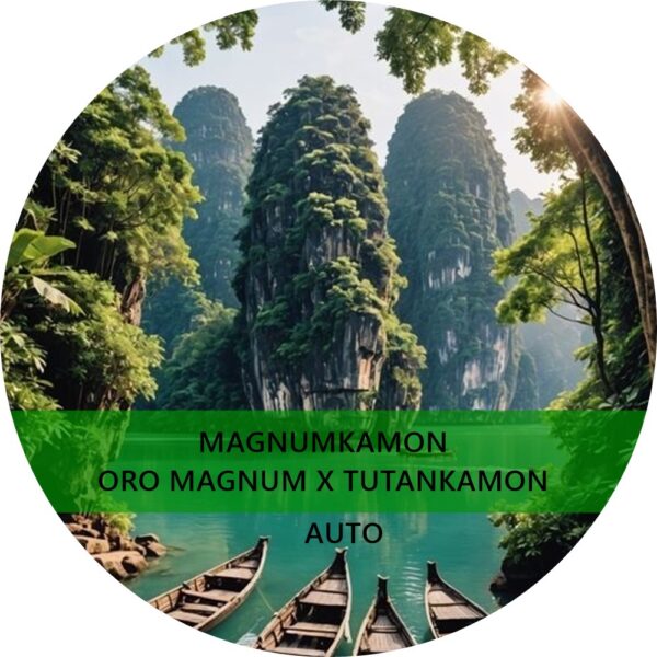 MAGNUMKAMON