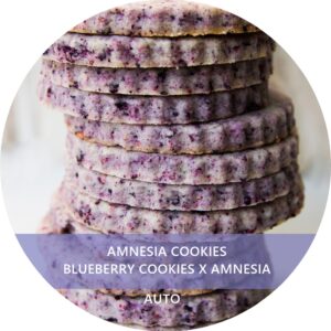 AMNESIA COOKIES
