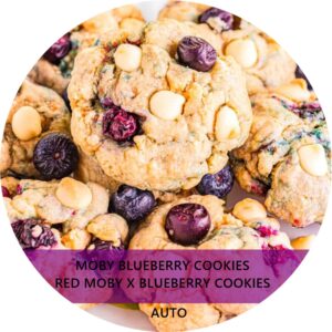 MOBY BLUEBERRY COOKIES