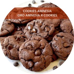 COOKIES AMNESIA