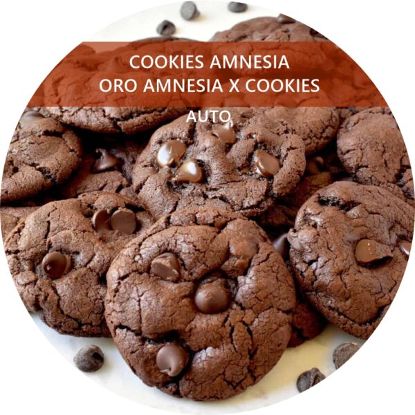 COOKIES AMNESIA