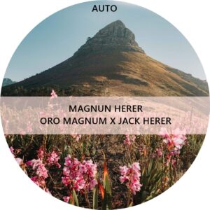 MAGNUM HERER