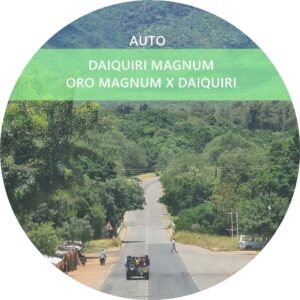 DAIQUIRI MAGNUM