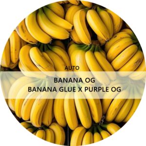 BANANA OG