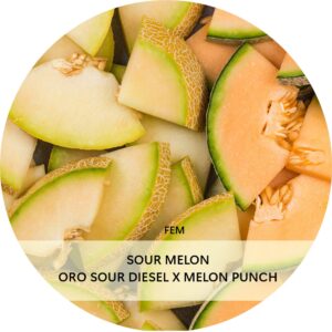 SOUR MELON