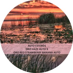 ESTEROS