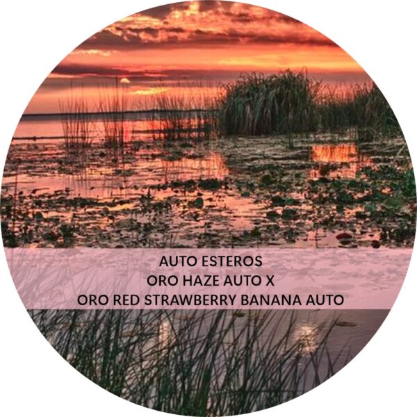 ESTEROS