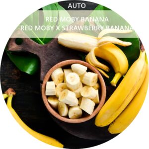 RED MOBY BANANA
