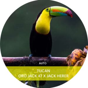 TUCÁN