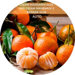 CREAM MANDARIN GLUE