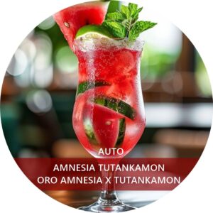 AMNESIA TUTANKAMON