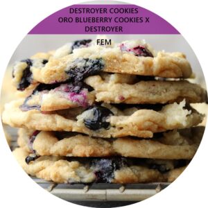 DESTROYER COOKIES