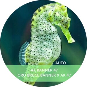 AK BANNER 47