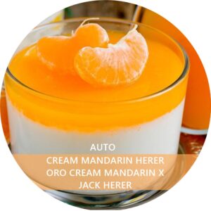 CREAM MANDARIN HERER