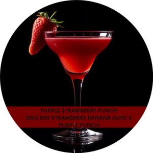 PURPLE STRAWBERRY PUNCH