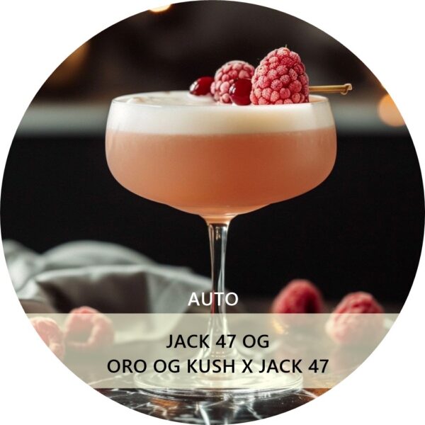 JACK 47 OG