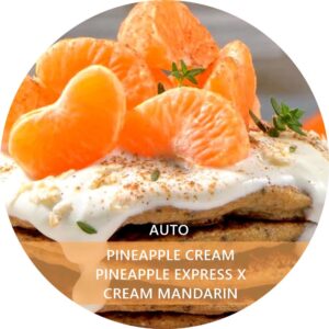 PINEAPPLE CREAM