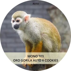 MONO TITI