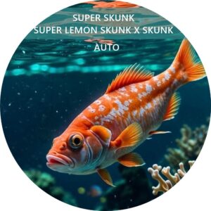 SUPER SKUNK