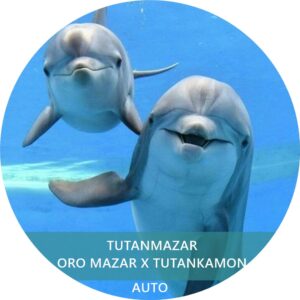 TUTANMAZAR
