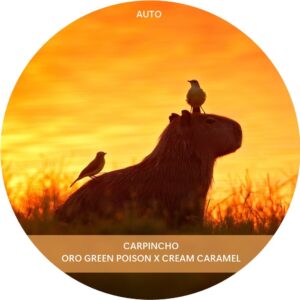 CARPINCHO