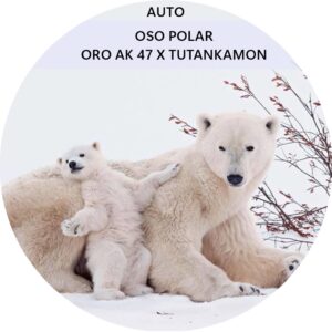 OSO POLAR